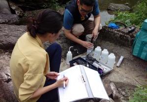 臺灣藍鵲茶與德國騰德姆斯公司(前杜夫萊茵)合作，一起推動坪林上游北勢溪流域水質監測。（照片：臺灣藍鵲茶提供）